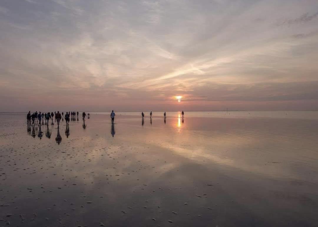 Chalet Wiron Aan Het Wad. Westerland Eksteriør billede